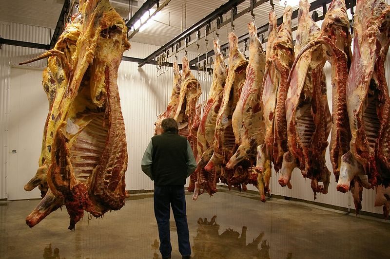 What Is Hanging There In The Beef Stall Is Your Dead Fathers Flesh